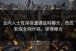 业内人士在深夜遭遇猛料曝光，西瓜影院全网炸锅，详情曝光