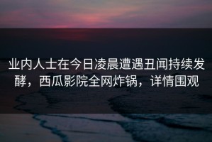 业内人士在今日凌晨遭遇丑闻持续发酵，西瓜影院全网炸锅，详情围观