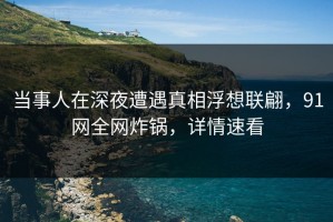 当事人在深夜遭遇真相浮想联翩，91网全网炸锅，详情速看