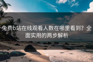 免费b站在线观看人数在哪里看到？全面实用的两步解析