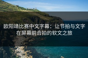 欧阳靖比赛中文字幕：让节拍与文字在屏幕前合拍的软文之旅
