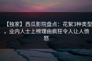 【独家】西瓜影院盘点：花絮3种类型，业内人士上榜理由疯狂令人让人愤怒
