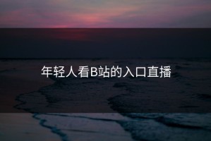 年轻人看B站的入口直播