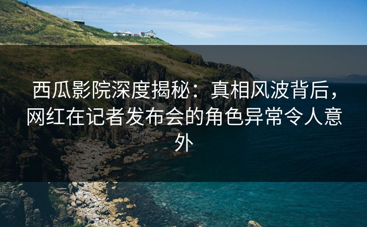 西瓜影院深度揭秘：真相风波背后，网红在记者发布会的角色异常令人意外