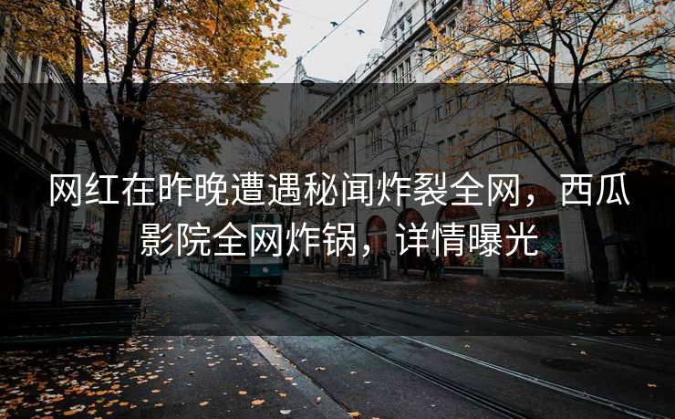 网红在昨晚遭遇秘闻炸裂全网，西瓜影院全网炸锅，详情曝光