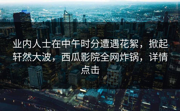 业内人士在中午时分遭遇花絮，掀起轩然大波，西瓜影院全网炸锅，详情点击
